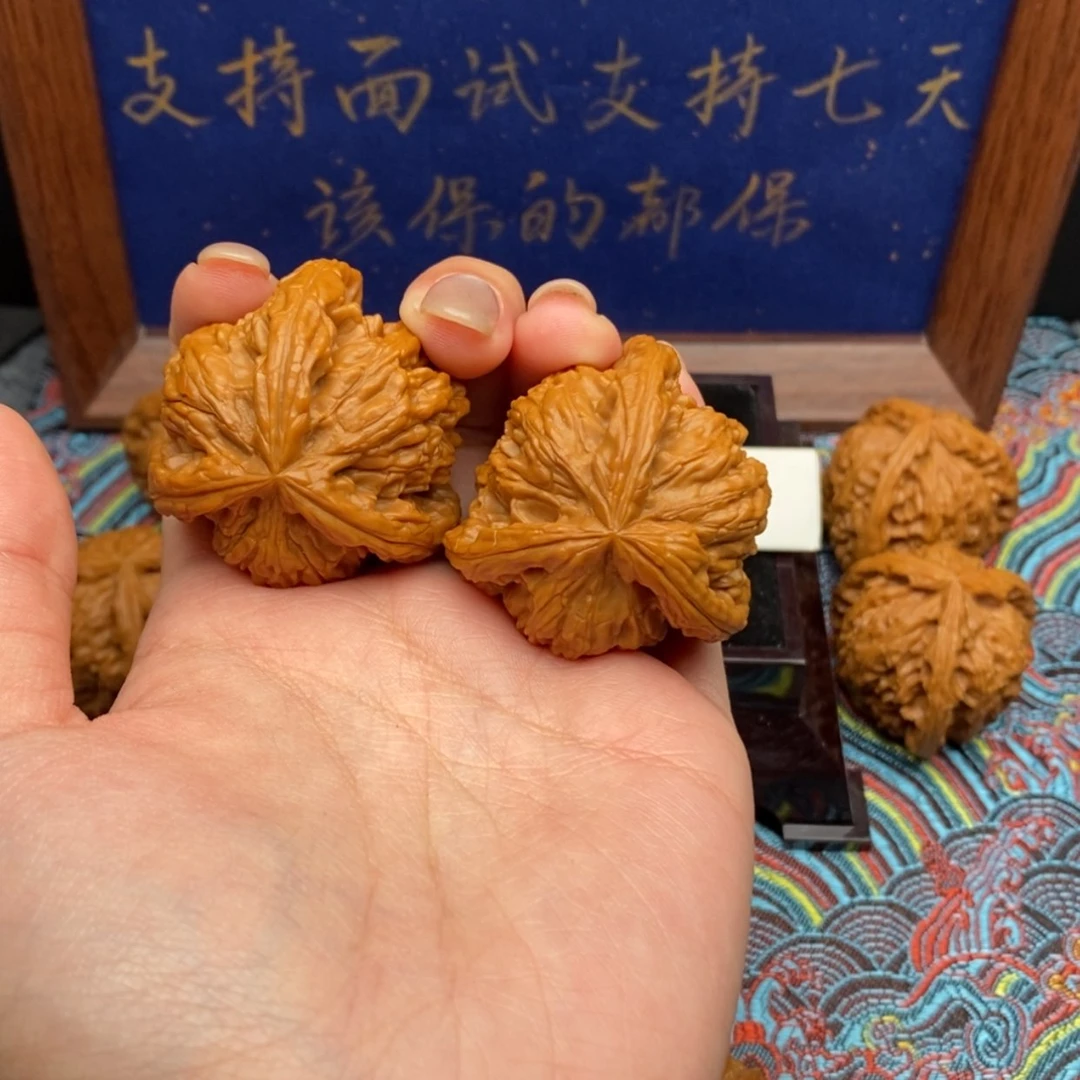 【闪购商品】公****队白狮