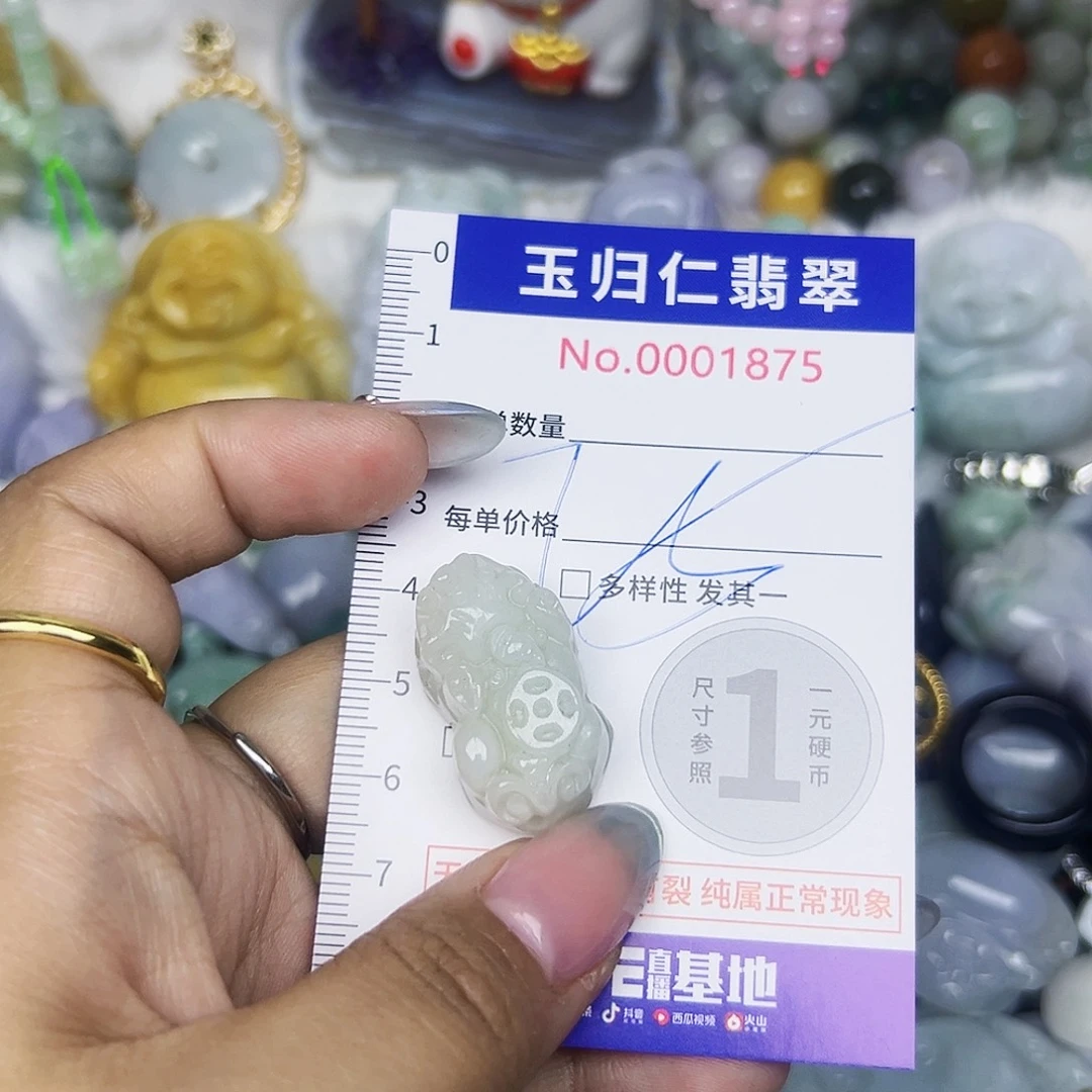 翡翠未镶嵌颈饰111