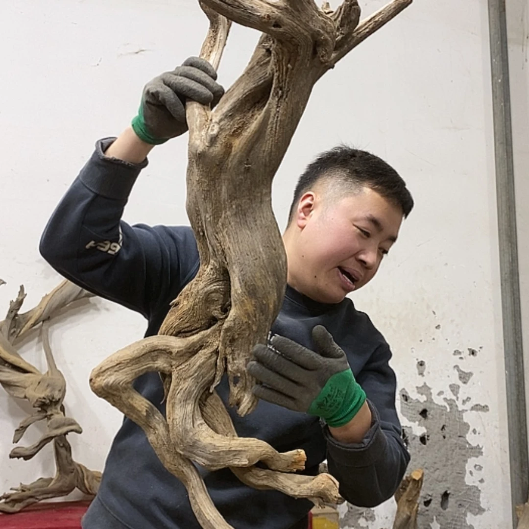 【闪购商品】柏木展****）我们的目标是成为更