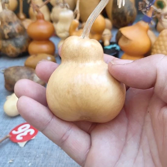 葫***帽葫芦娃娃娃娃娃娃娃娃