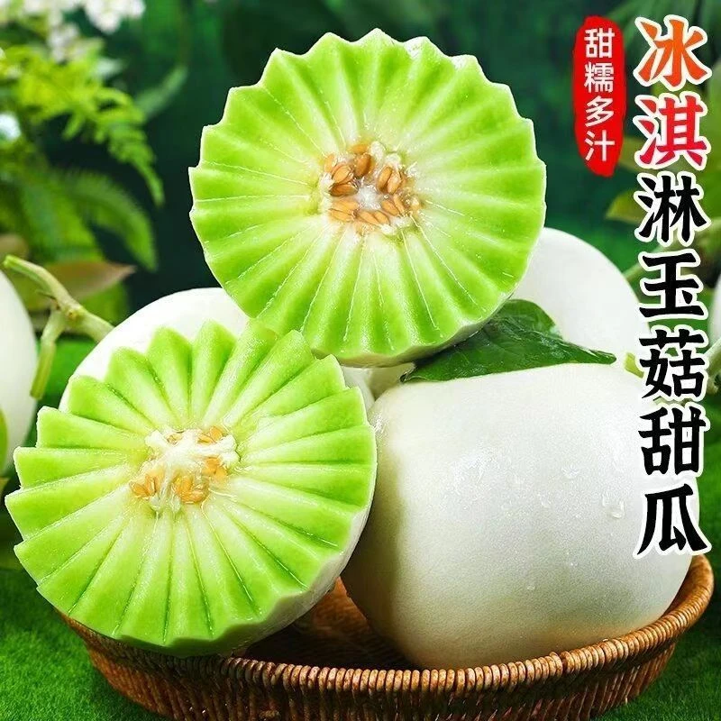 山东冰淇淋玉菇甜瓜1个 约3斤-4斤 甜糯多汁
