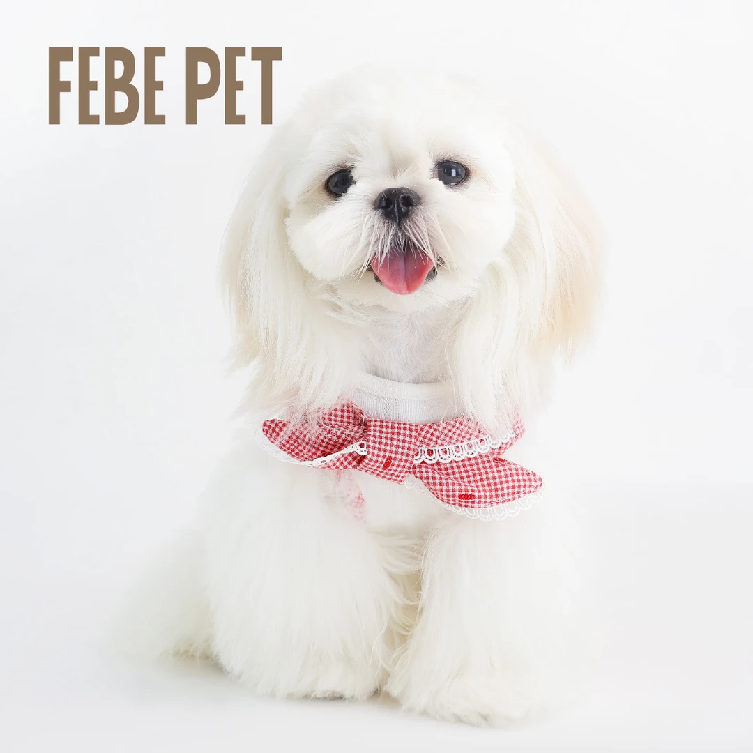 宠物衣服小中型犬马尔济斯比熊夏季韩版甜美领结套装