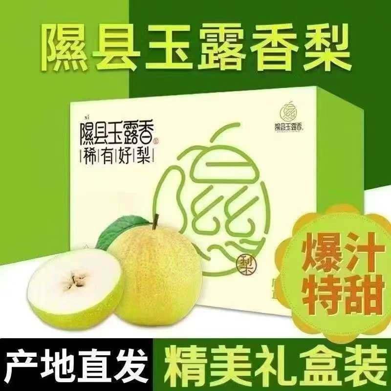 2025山西隰县玉露香梨新鲜稀有香甜酥脆薄皮礼盒装产地直发