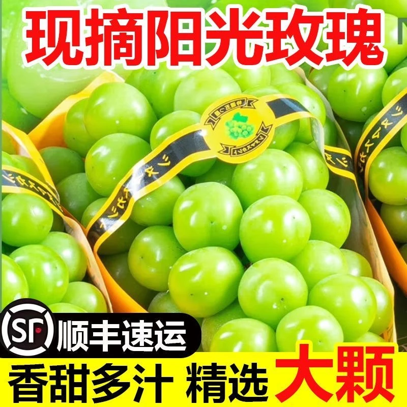 阳光玫瑰葡萄【顺丰】新鲜水果礼盒当季应季脆甜青提现货★