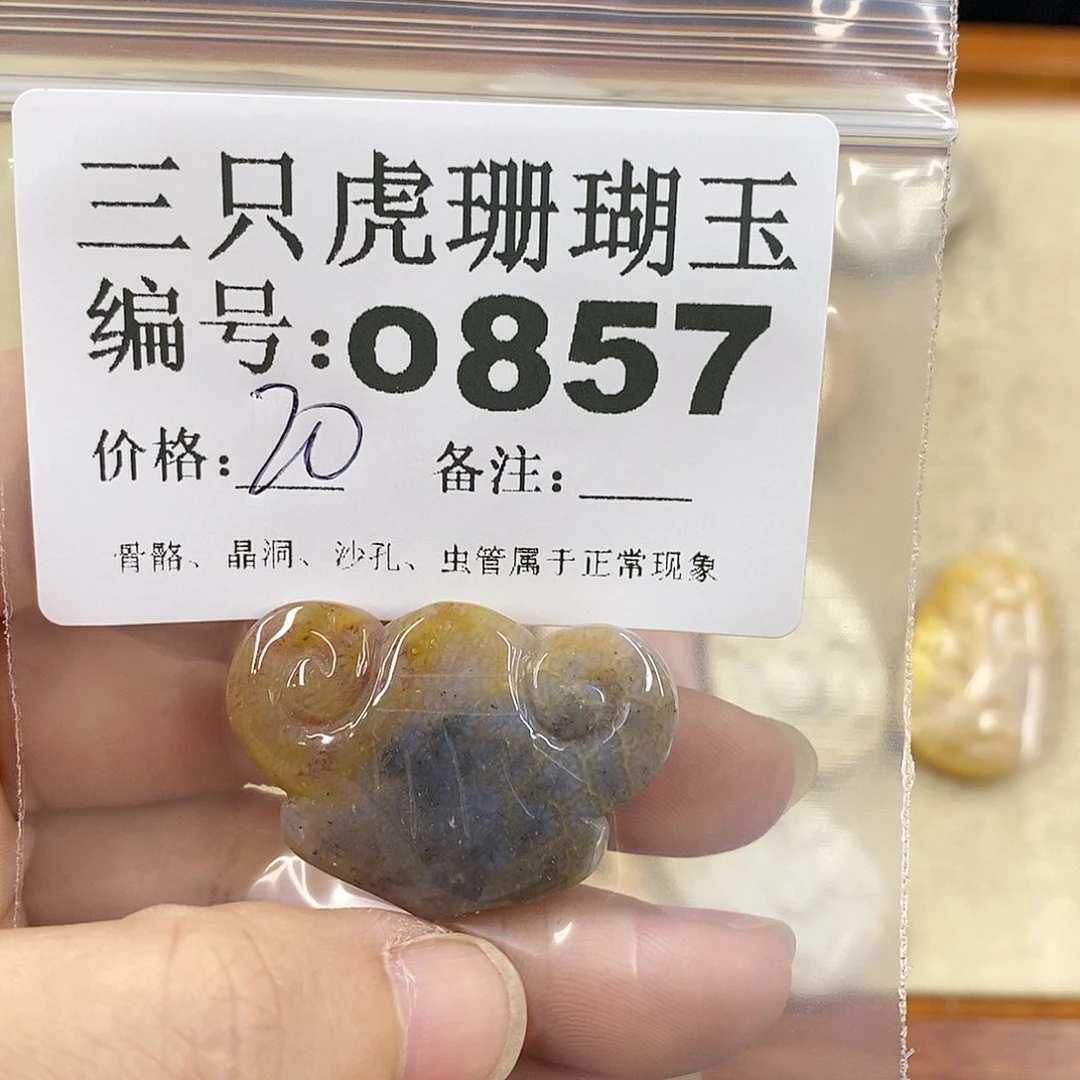 硅化珊瑚（珊瑚玉）1未镶嵌斋*