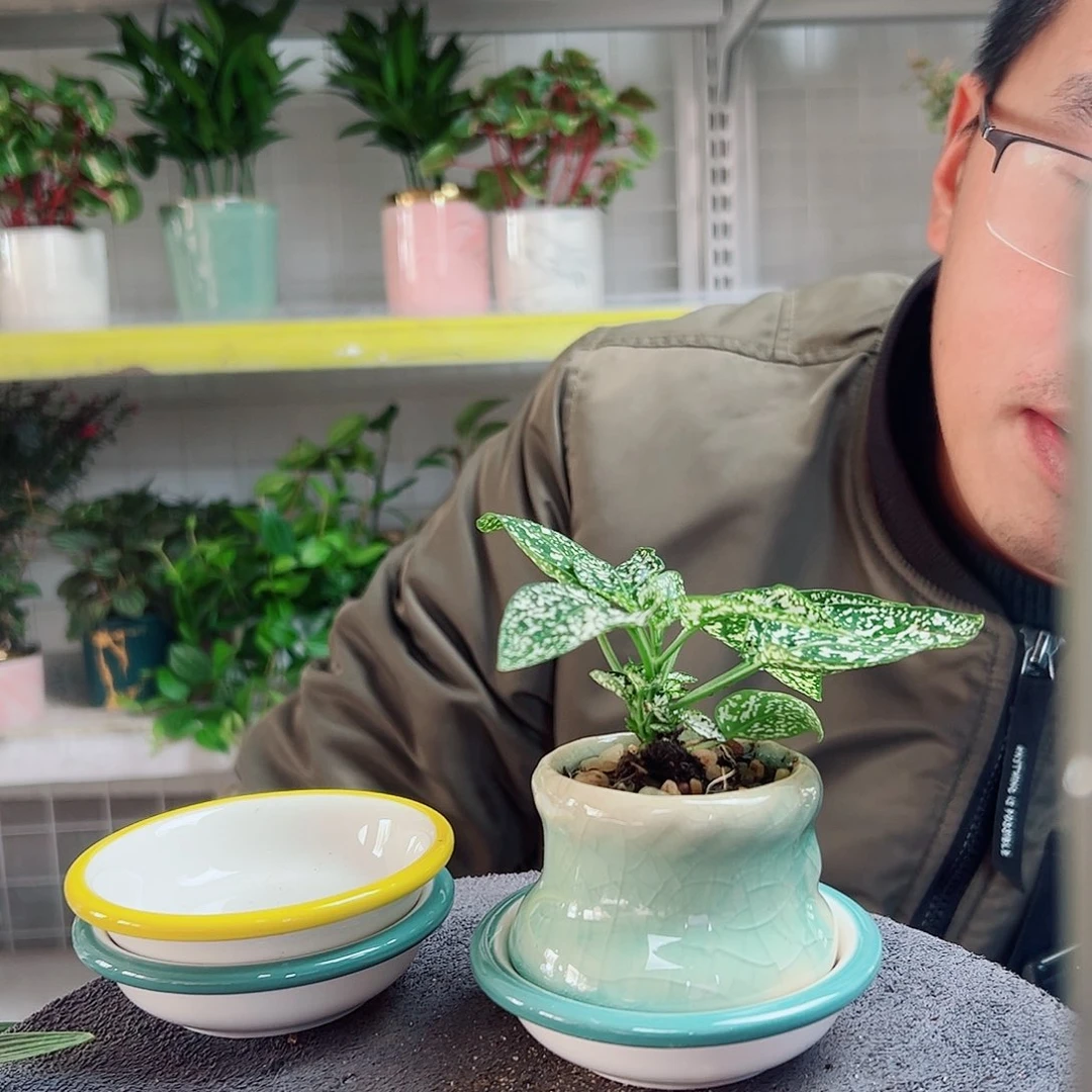 雨***滴无花朵13