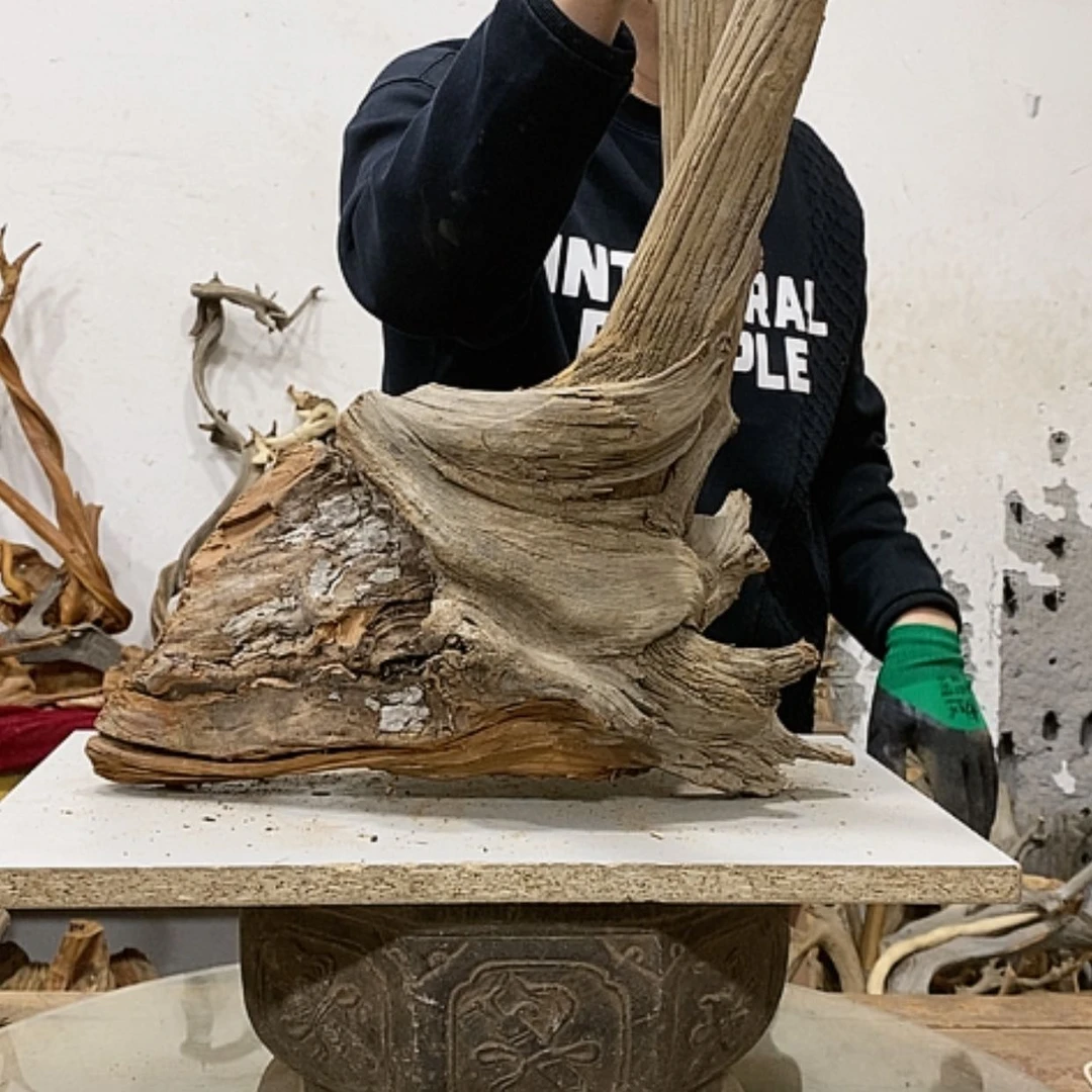 【闪购商品】柏木陈*宝我们都是好孩子