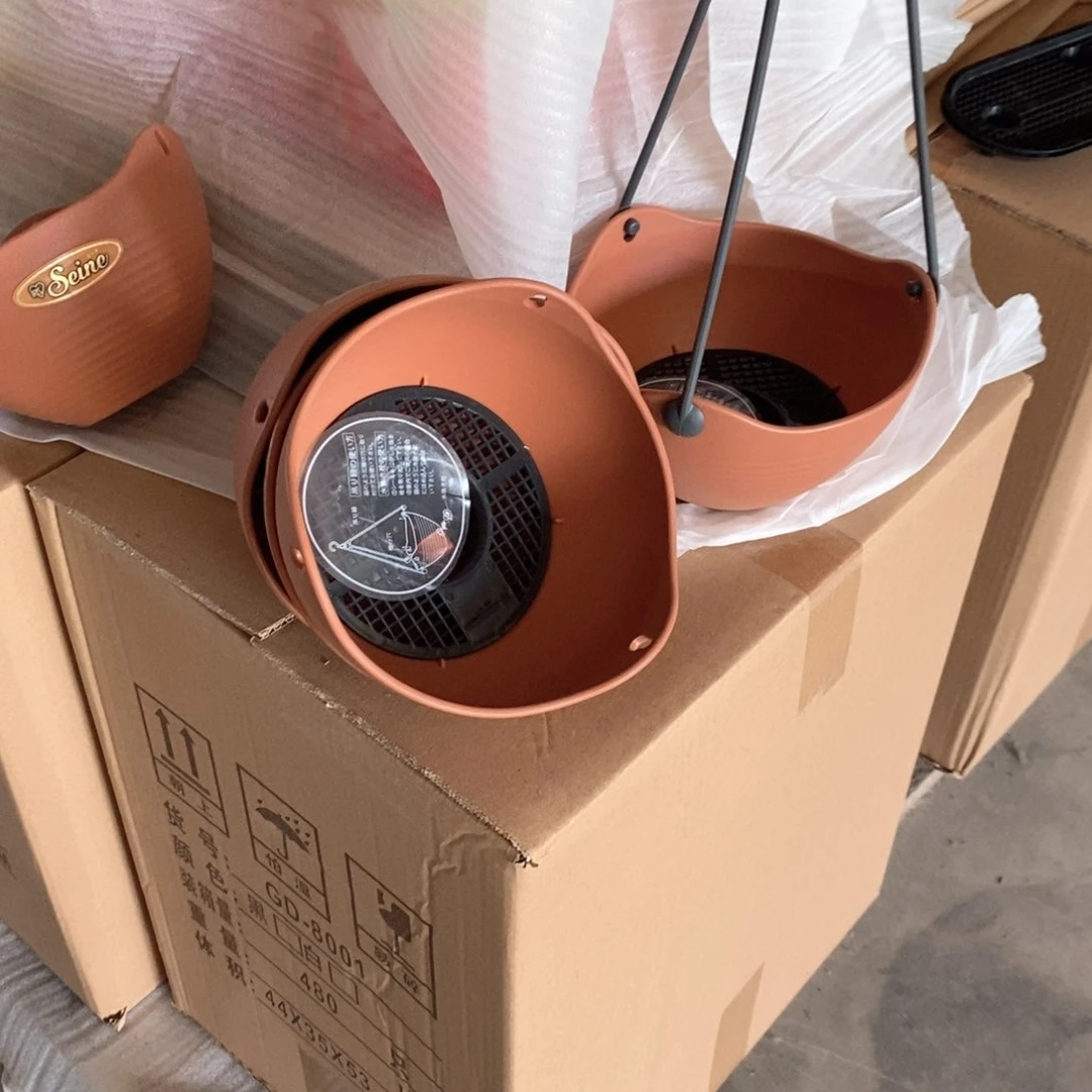 5个爱丽丝6号茶色吊兰