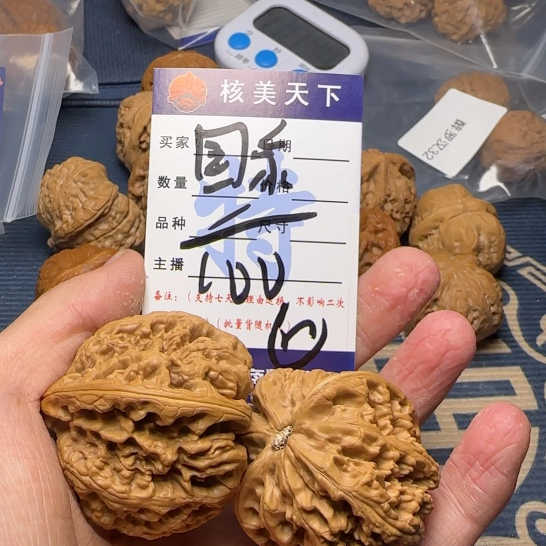 国****1你是在干麻嘛了不