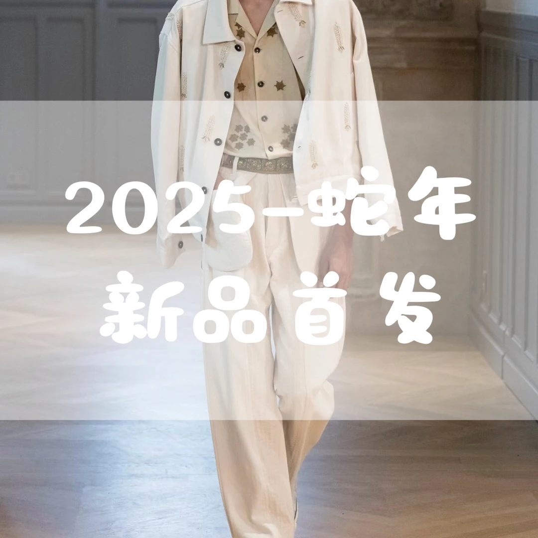 【豪哥专属】258802春季轻奢潮流气质百搭款T恤短袖