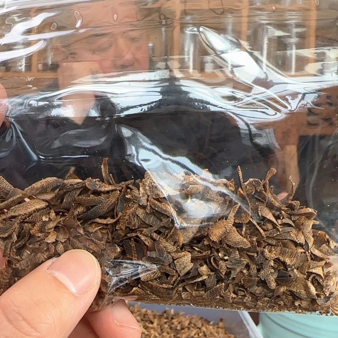 沉香摆件奇楠金沙叶高油切片10克