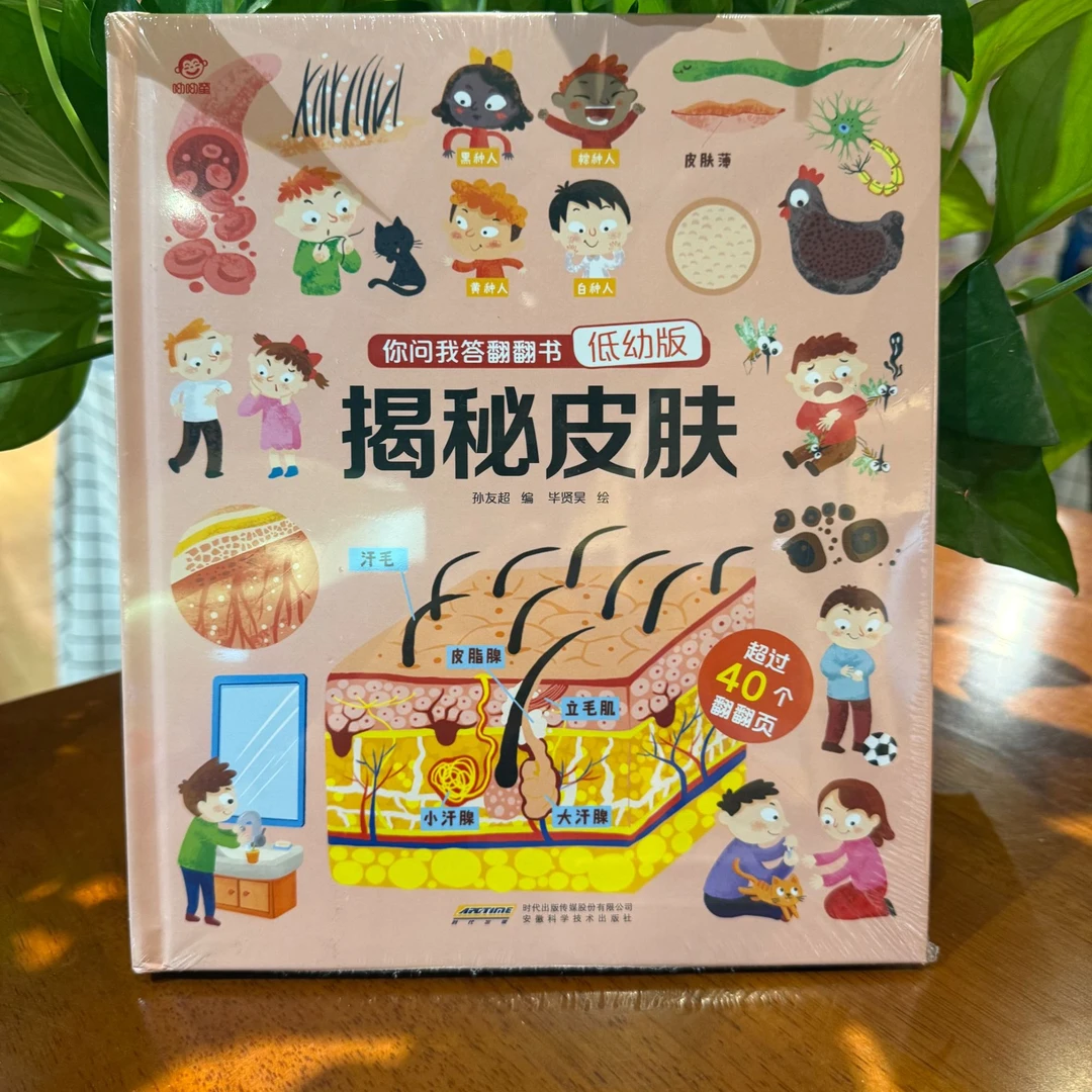 低幼启蒙揭秘皮肤你问我答翻翻书科普百科全书益智读物