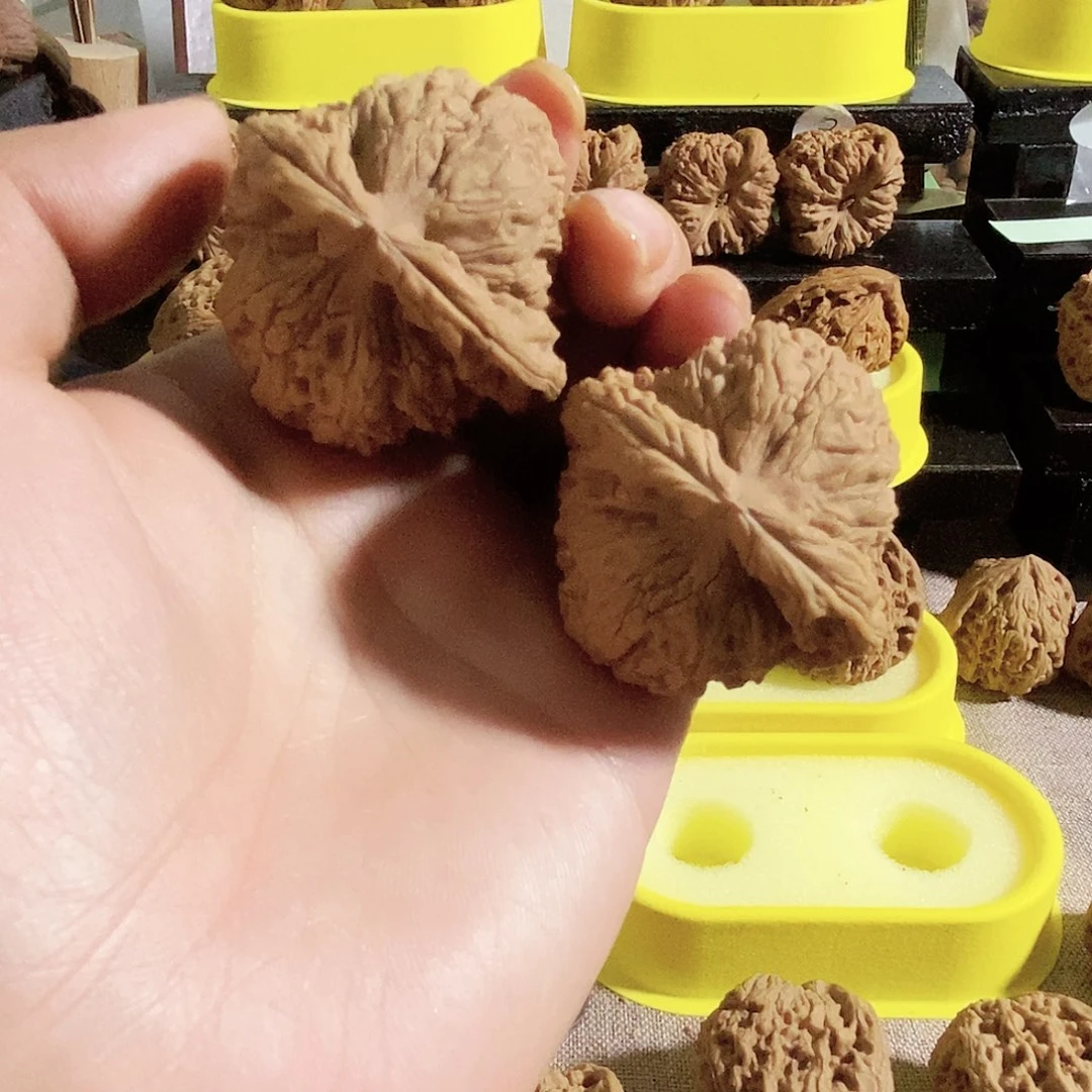 木质类今天的天气真的很