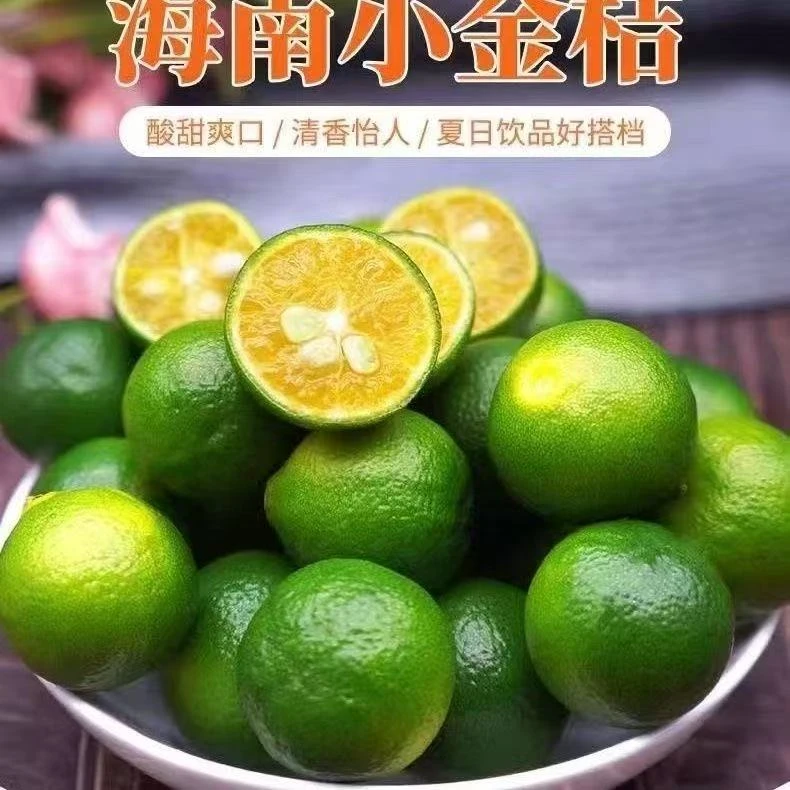 正宗海南小金桔新鲜采摘皮薄汁水多青皮