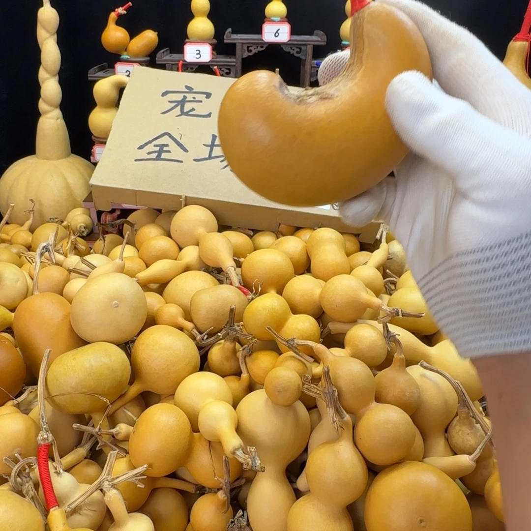 爱***虾啊啦啦啦啦啦啦噜啦