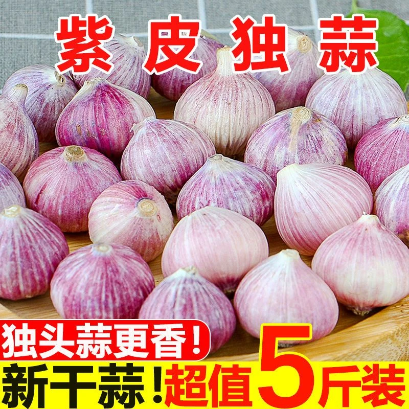 【超低价】紫皮独头蒜新鲜大蒜头红皮独蒜新晒干蒜0.5/2/3/5斤包邮