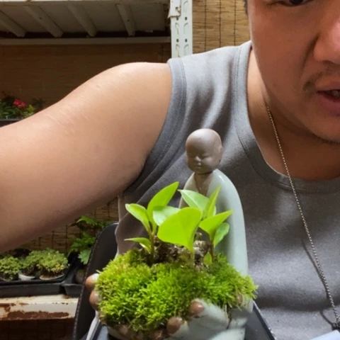 红陶一物一拍所见即所得89