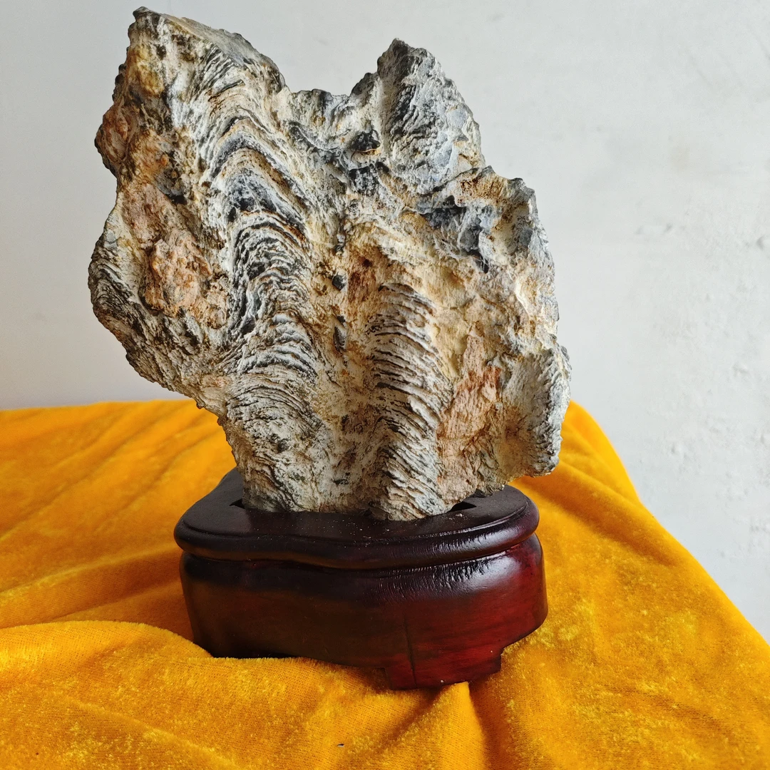 灵璧石，网络石，也叫黑金钱，长14高20厚10