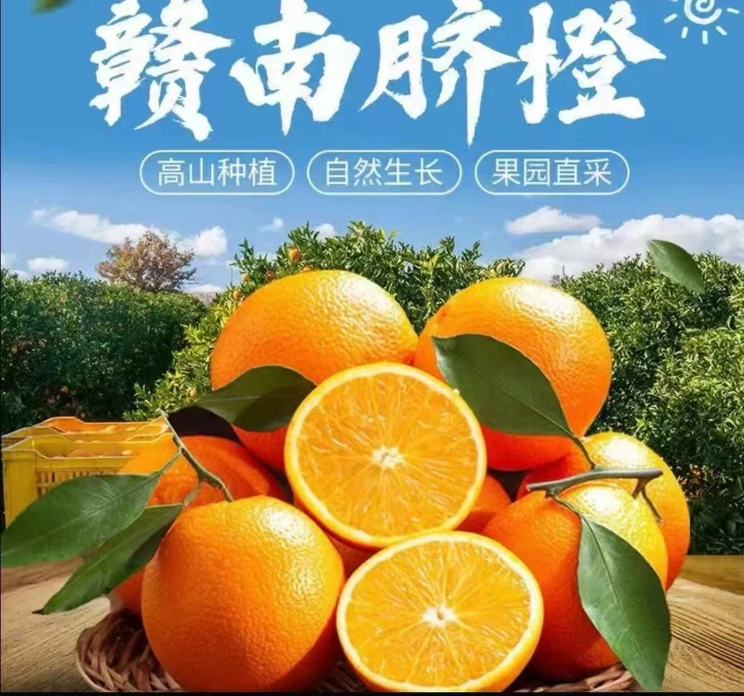 正宗赣南脐橙新鲜现采现发产地直发爆汁大果(下）