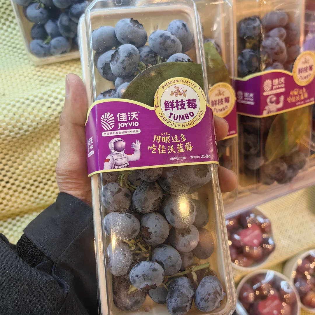 佳沃枝子蓝莓17-21mm智利G