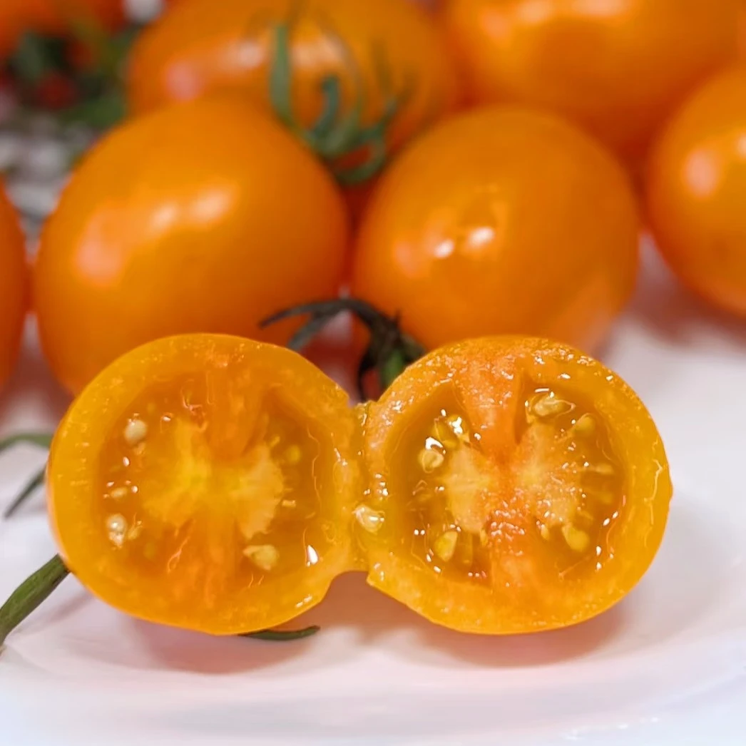 芒果千禧小番茄，纯甜，爆汁