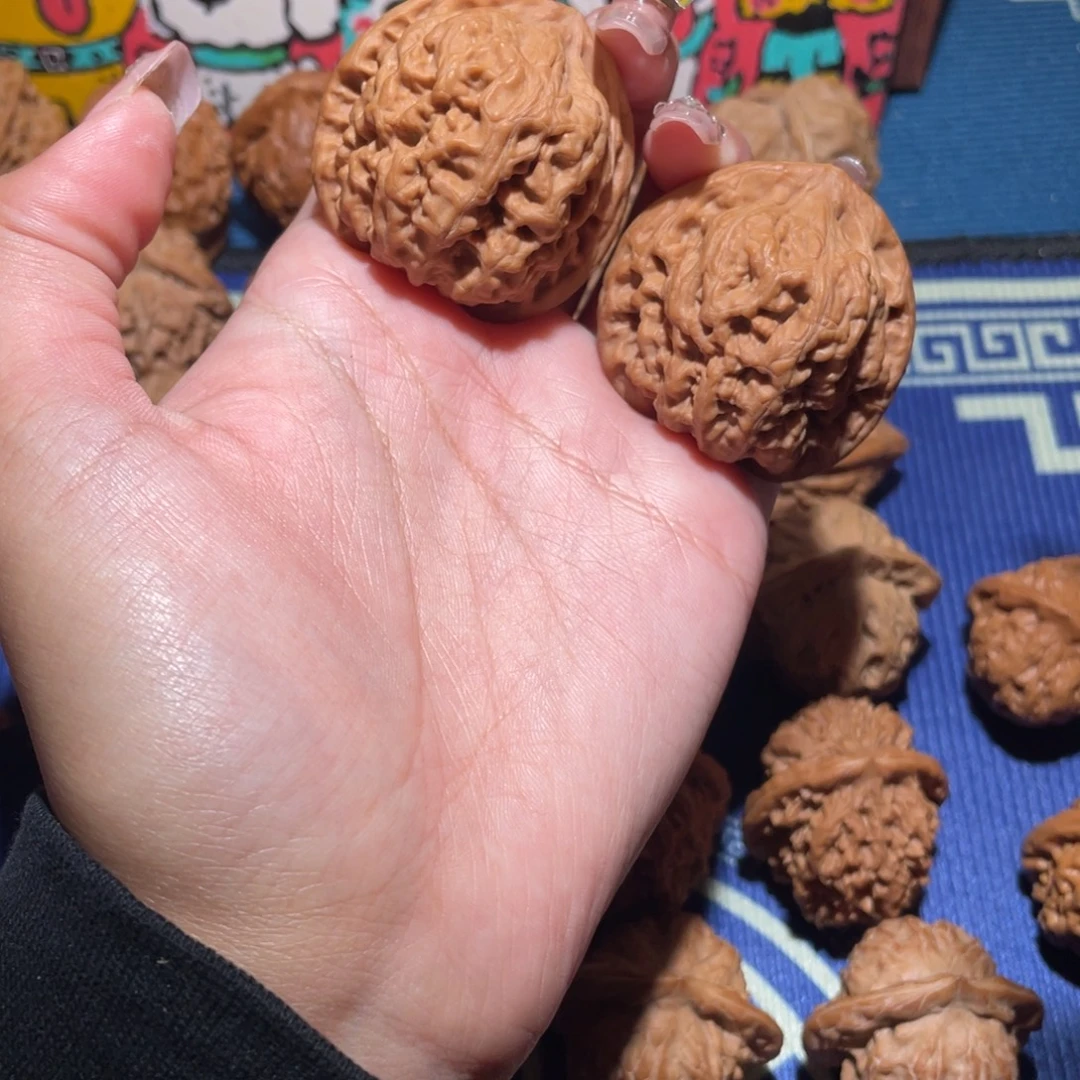 41野生蜡皮王905 111111