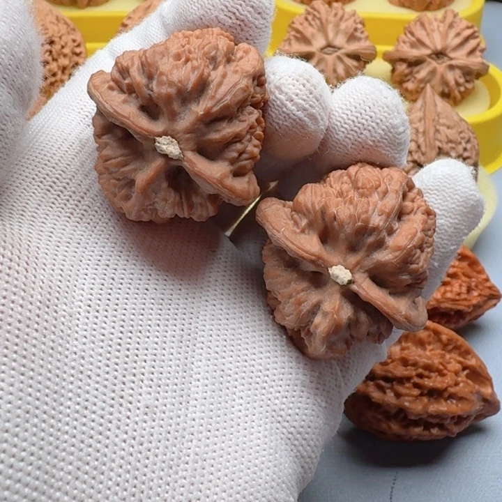 核桃野生金蝉38尺