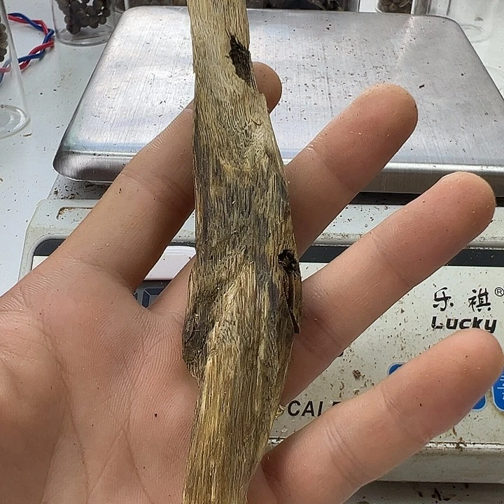 沉香沉香碎屑蓝宝石10克+