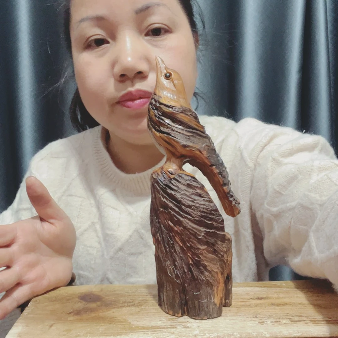 龙**域百年树的生长环境