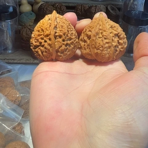 把件文玩核桃铁南疆带彩磕尖42异形