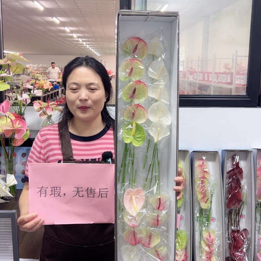 完全开放混色20枝无售后款228
