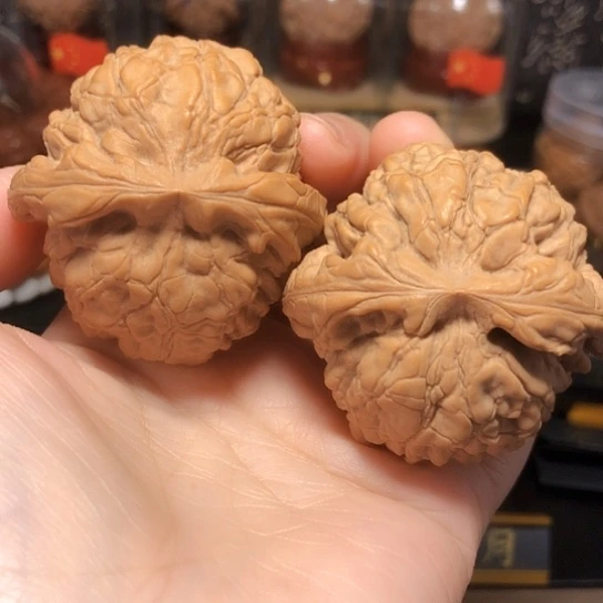 特价福利：全品龙鼎