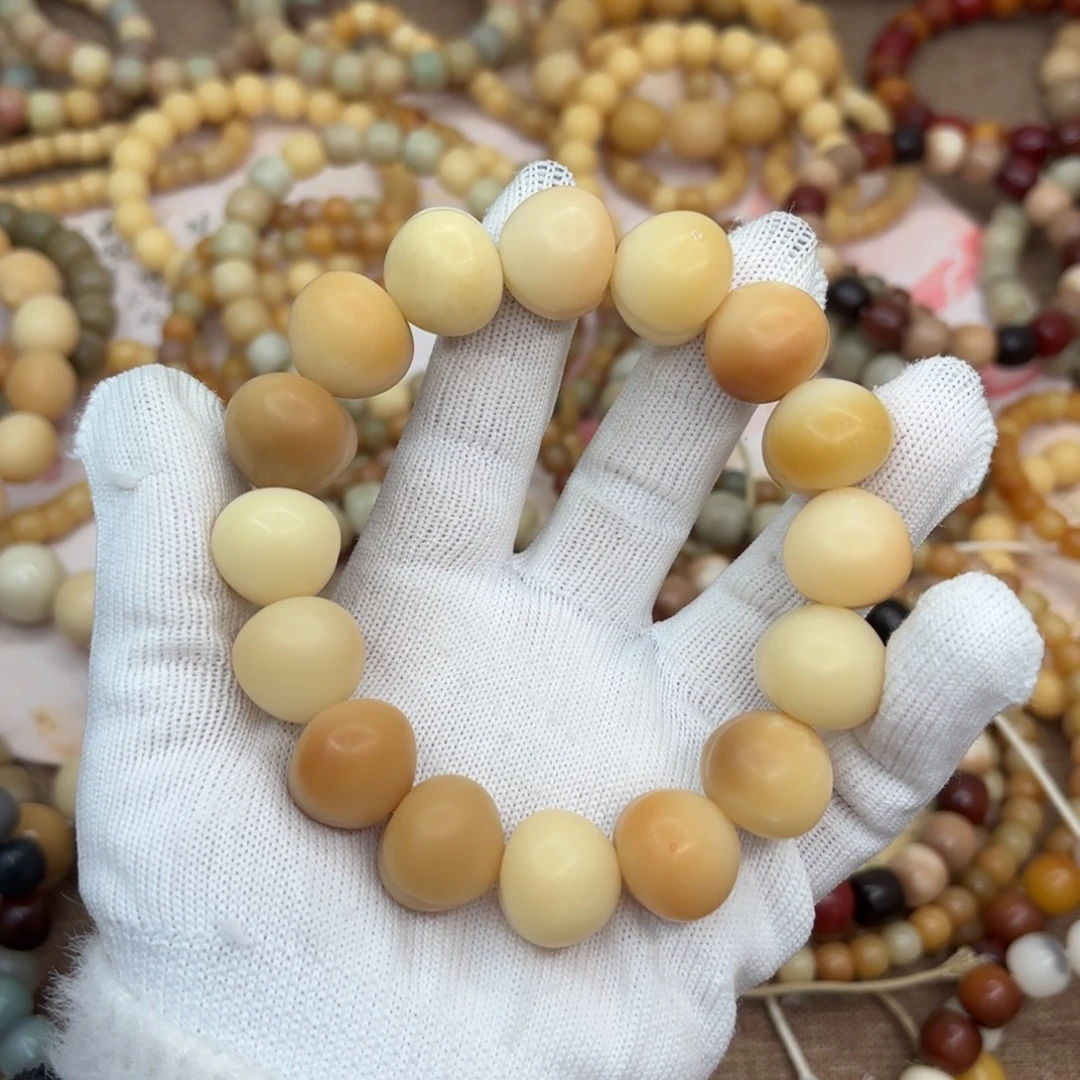 吊坠菩提根/象牙果19干磨瑕疵落地果827