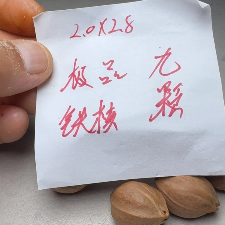 橄榄核手串/手链清**年橄榄核2.0✖️2.8