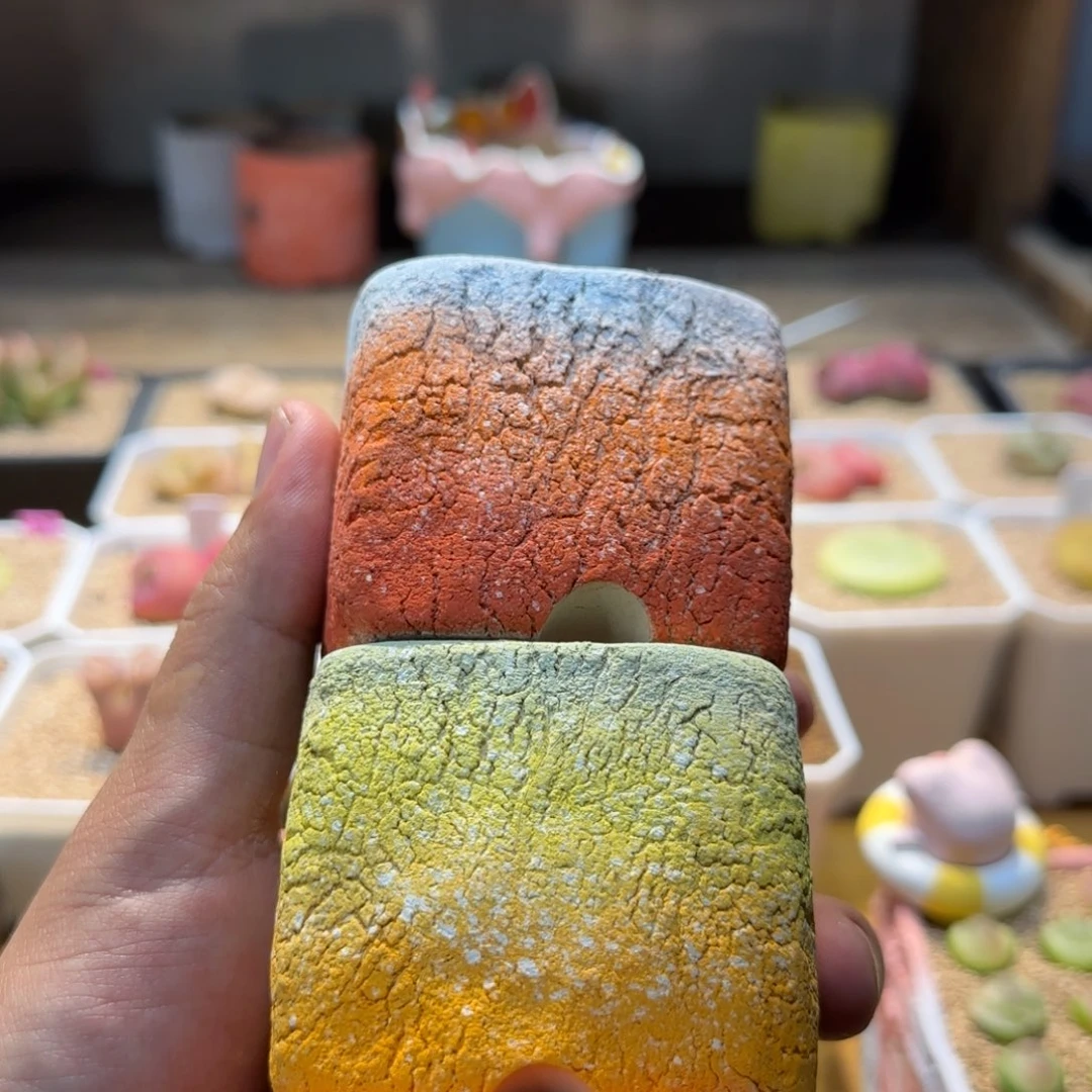 红陶牛**作我们的目标是成为一名优秀运动健将的