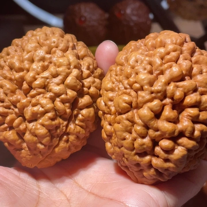 桃核把件疙瘩龙金刚菩提子