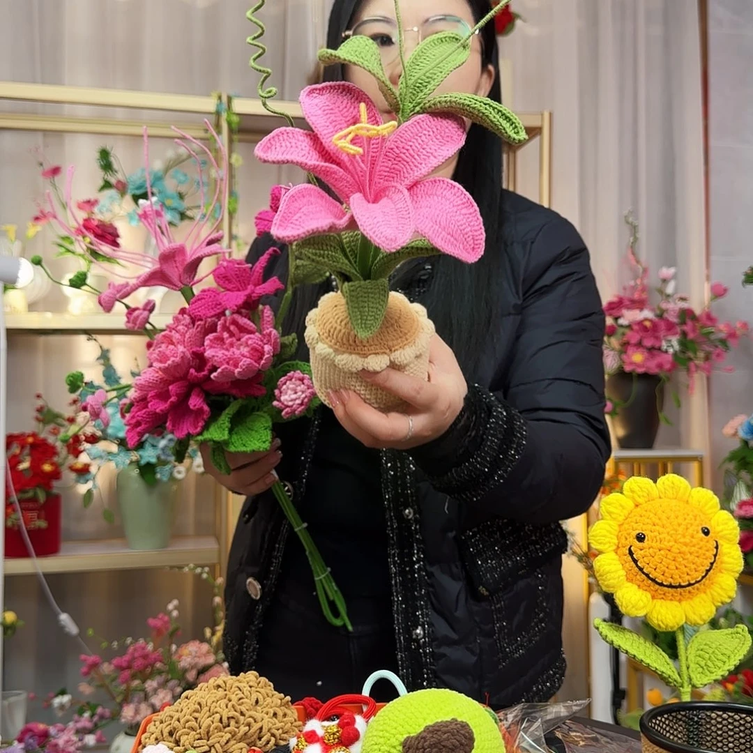 纯手工钩织钩织盆栽