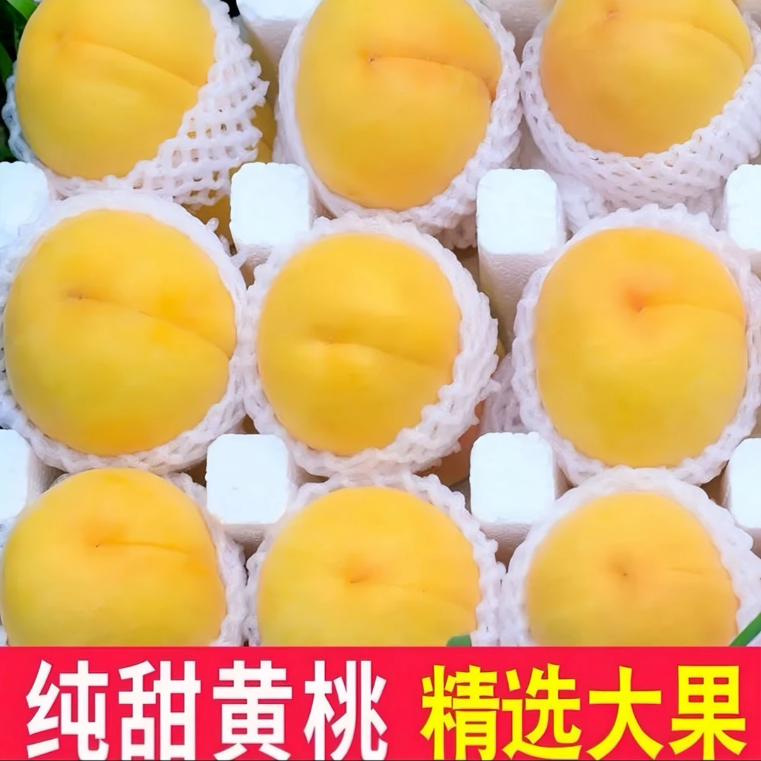 【蒙阴、大黄桃】Q应季新鲜黄桃果园现摘现发S