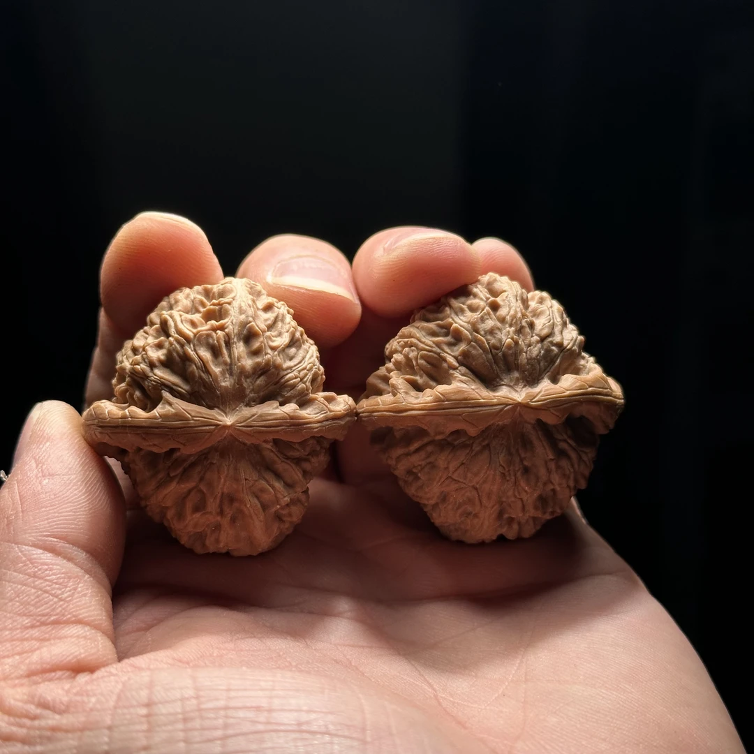 精品白狮子 尺寸可选