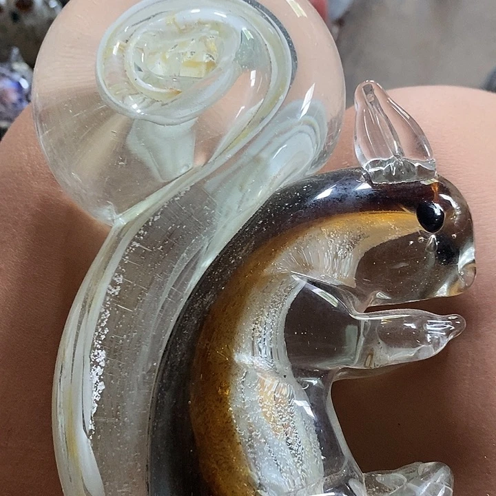小***常琉璃松鼠爱吃松子