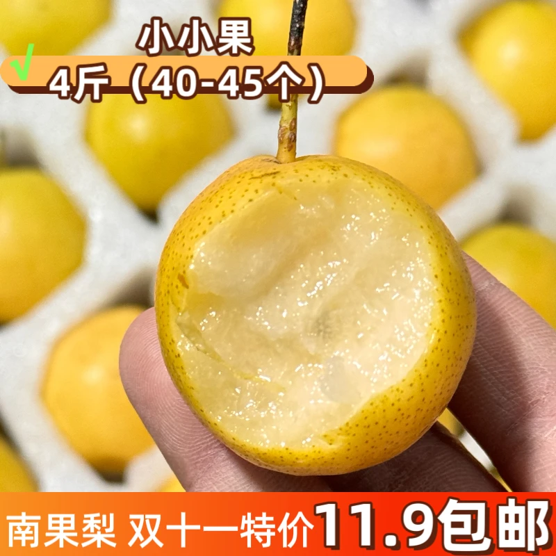 【双十一福利】鞍山正宗南果梨（小小果）东北特产新鲜水果（净重4斤）