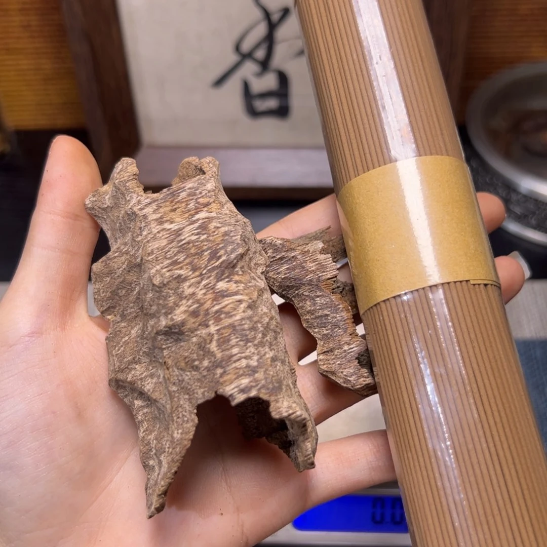 越南芽庄淳化老虫漏10克3