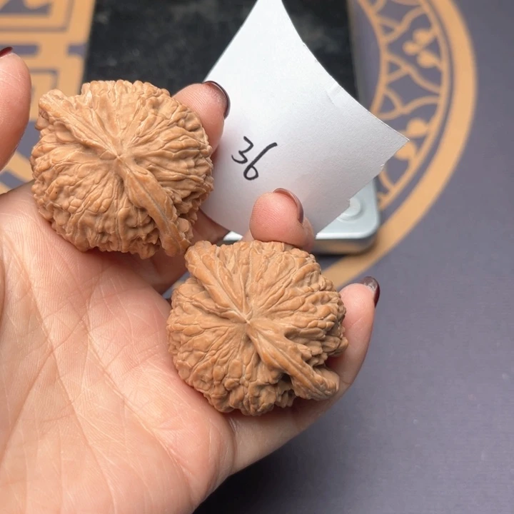 文玩核桃把件42白狮子 36号