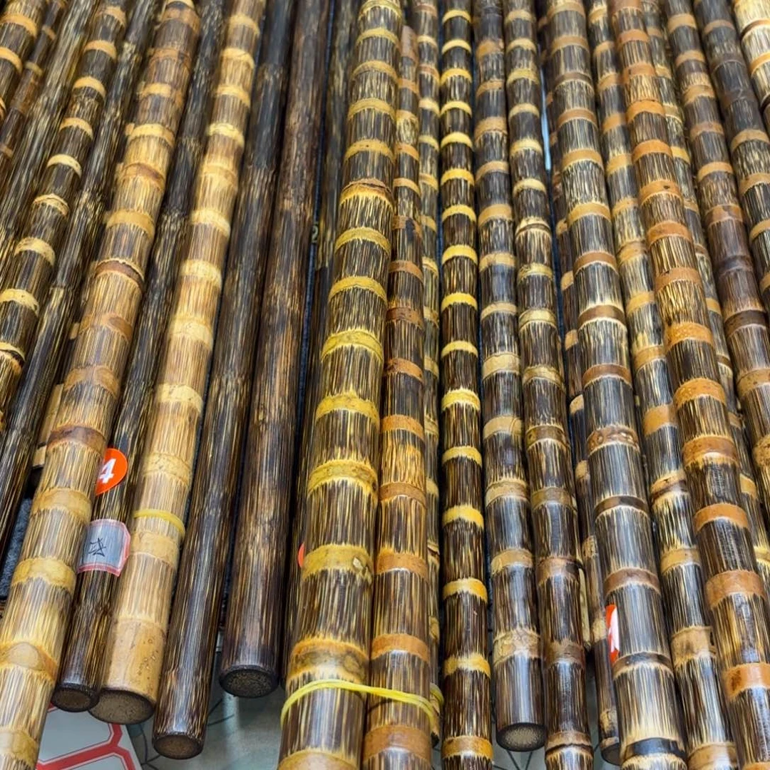 蓝***青1.5米2.5粗高货实心金丝竹