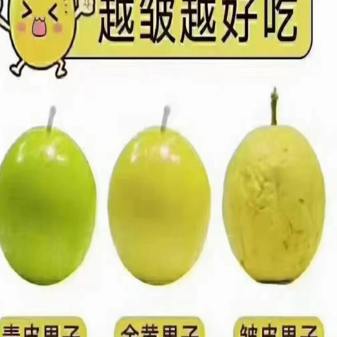 榕江新鲜当季纯甜无酸钦密9号百香果
