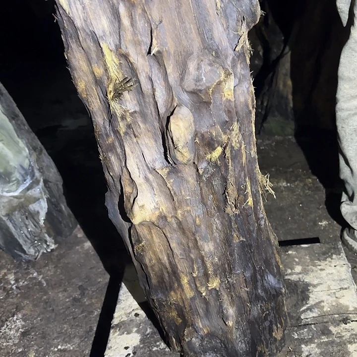 岳***行乌木金丝楠摆件毛料