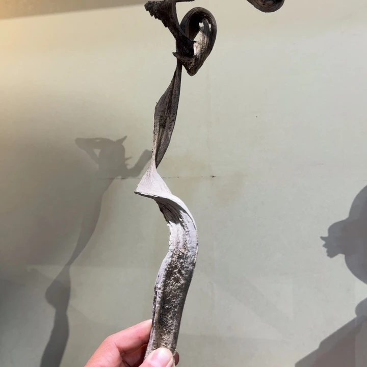 鸡翅木用****9崖柏阿啊