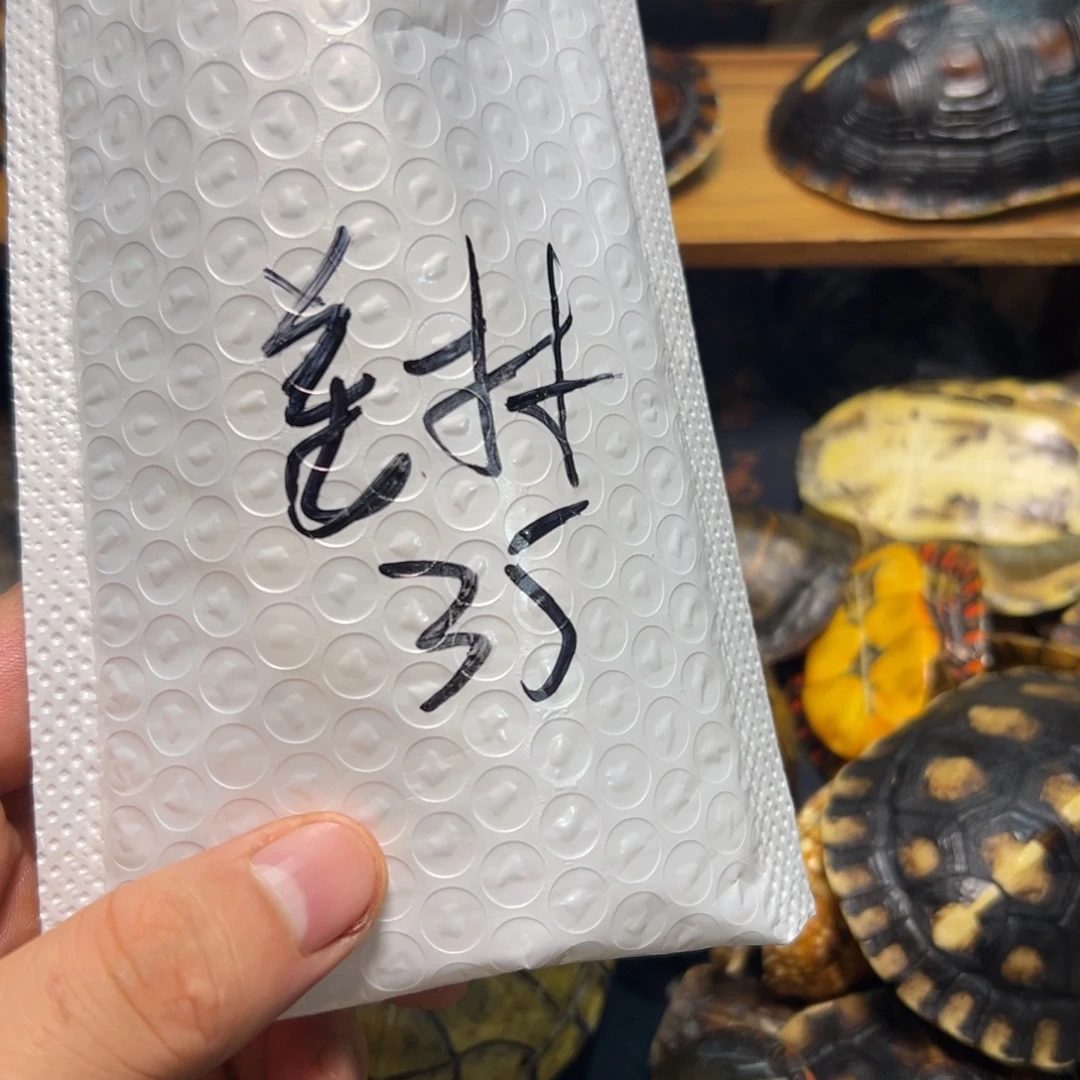 姜***林呃啊啊啊啊啊啊啊啊啊啊