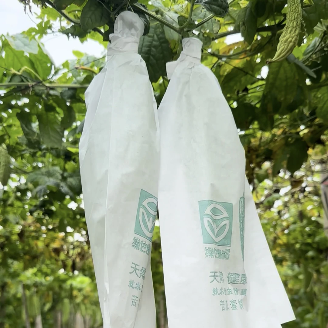 苦瓜专用袋防虫丝瓜松花菜水果套袋黄瓜有机花菜散花黄瓜防水遮光