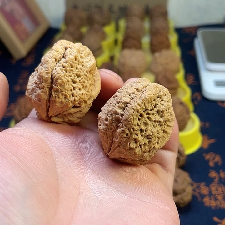 文玩核桃把件3蝴蝶蟾43